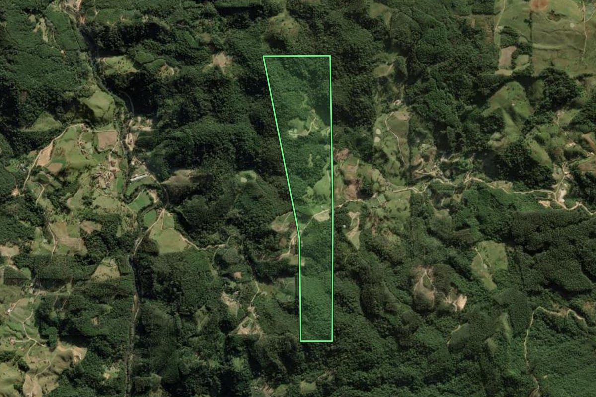 Imagem de satélite do imóvel rural em Anitápolis (SC), com o contorno declarado no CAR desenhado por cima.