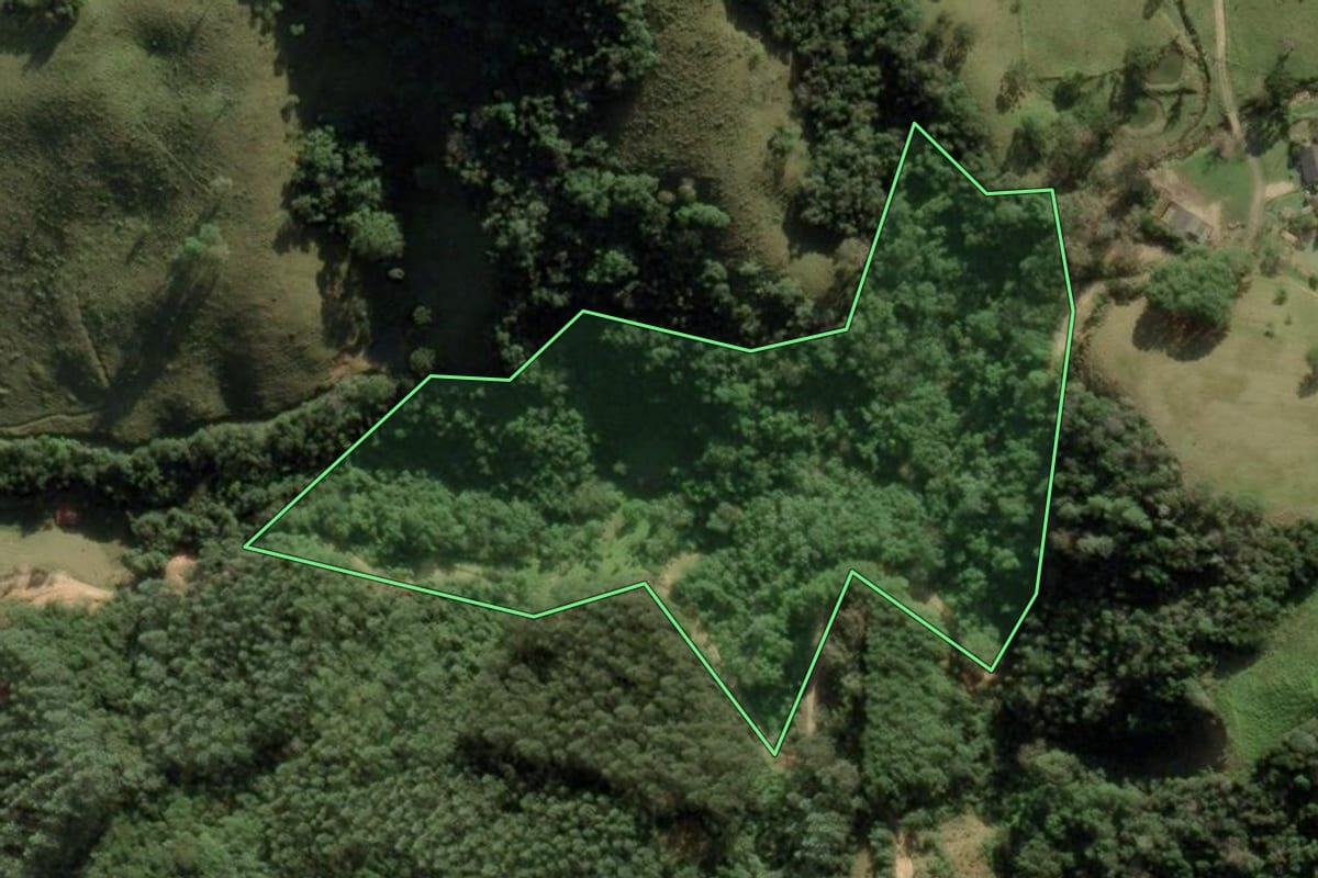 Imagem de satélite do imóvel rural em Anitápolis (SC), com o contorno declarado no CAR desenhado por cima.