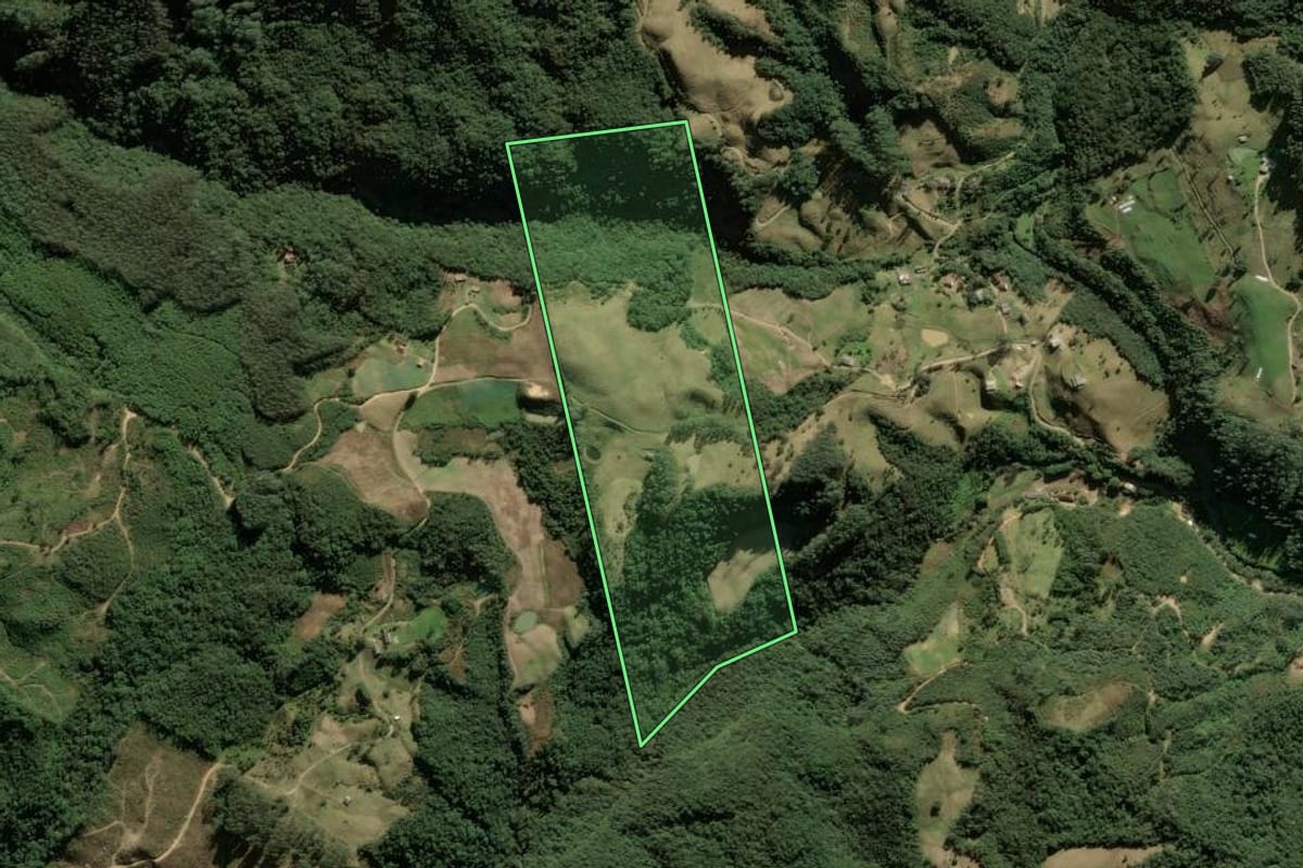 Imagem de satélite do imóvel rural em Anitápolis (SC), com o contorno declarado no CAR desenhado por cima.