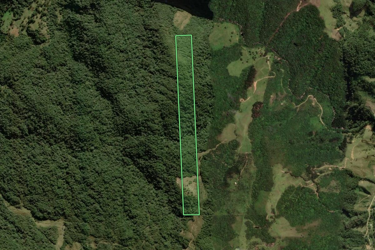 Imagem de satélite do imóvel rural em Anitápolis (SC), com o contorno declarado no CAR desenhado por cima.