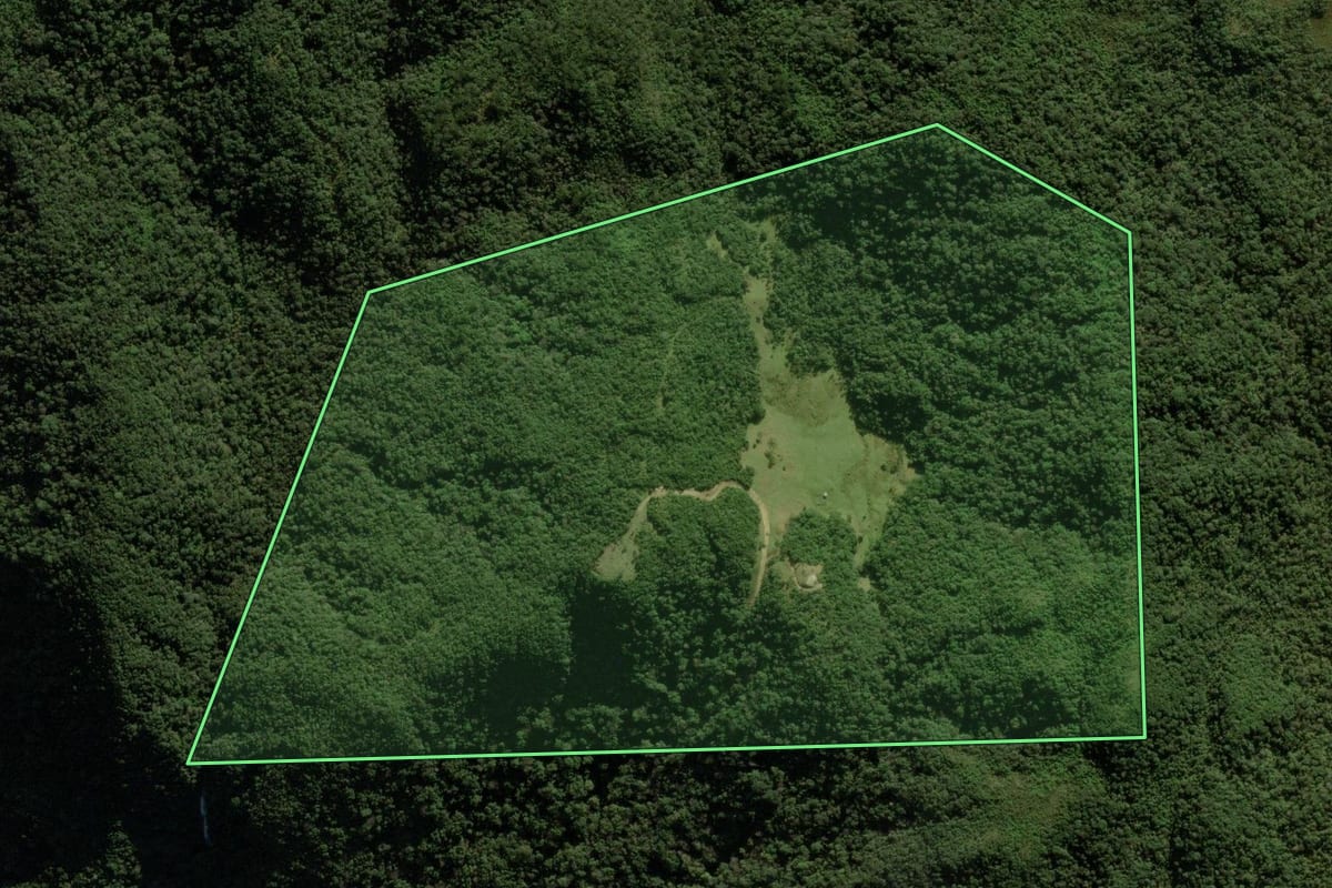 Imagem de satélite do imóvel rural em Anitápolis (SC), com o contorno declarado no CAR desenhado por cima.