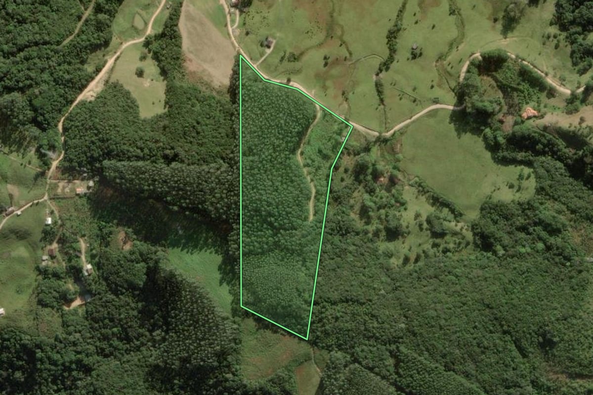 Imagem de satélite do imóvel rural em Anitápolis (SC), com o contorno declarado no CAR desenhado por cima.