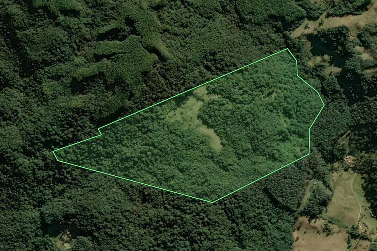 Imagem de satélite do imóvel rural em Anitápolis (SC), com o contorno declarado no CAR desenhado por cima.
