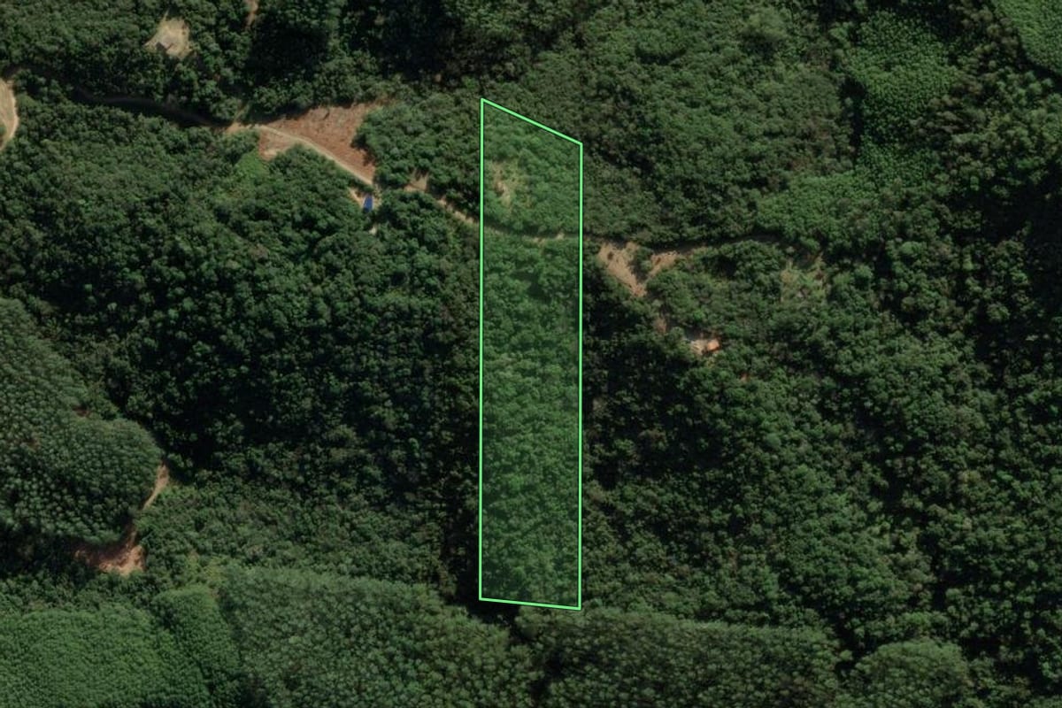 Imagem de satélite do imóvel rural em Anitápolis (SC), com o contorno declarado no CAR desenhado por cima.