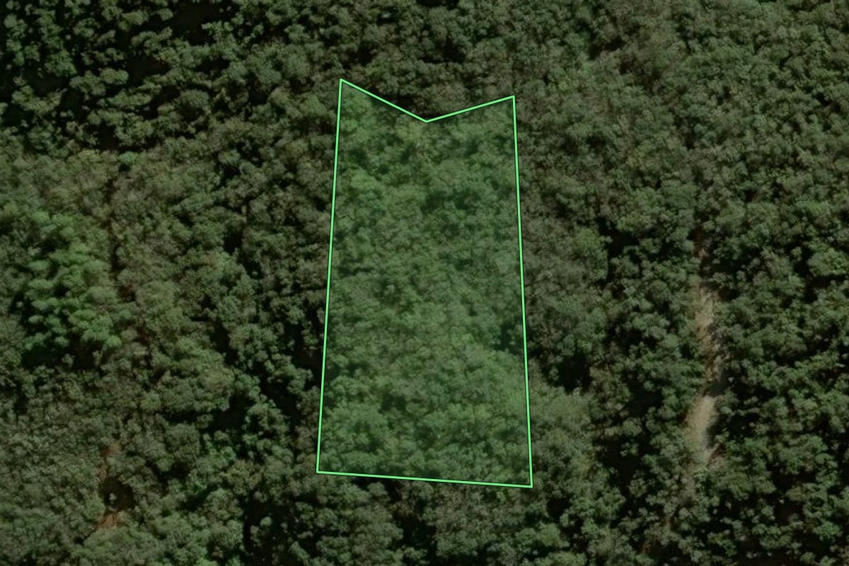 Imagem de satélite do imóvel rural em Anitápolis (SC), com o contorno declarado no CAR desenhado por cima.
