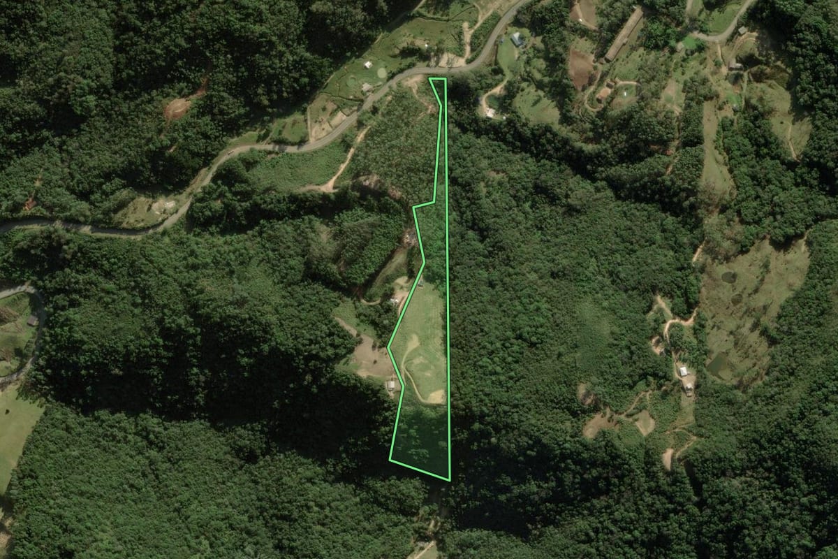 Imagem de satélite do imóvel rural em Anitápolis (SC), com o contorno declarado no CAR desenhado por cima.