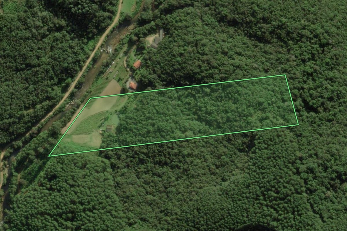 Imagem de satélite do imóvel rural em Anitápolis (SC), com o contorno declarado no CAR desenhado por cima.