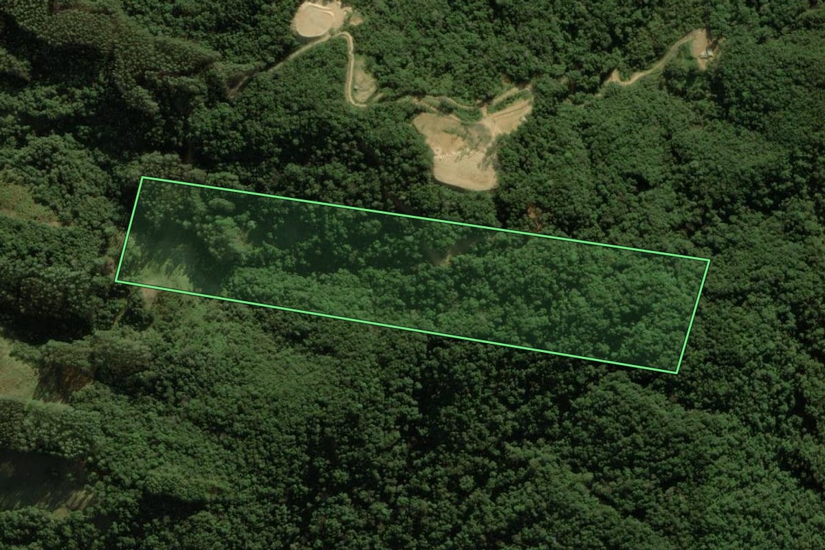 Imagem de satélite do imóvel rural em Anitápolis (SC), com o contorno declarado no CAR desenhado por cima.