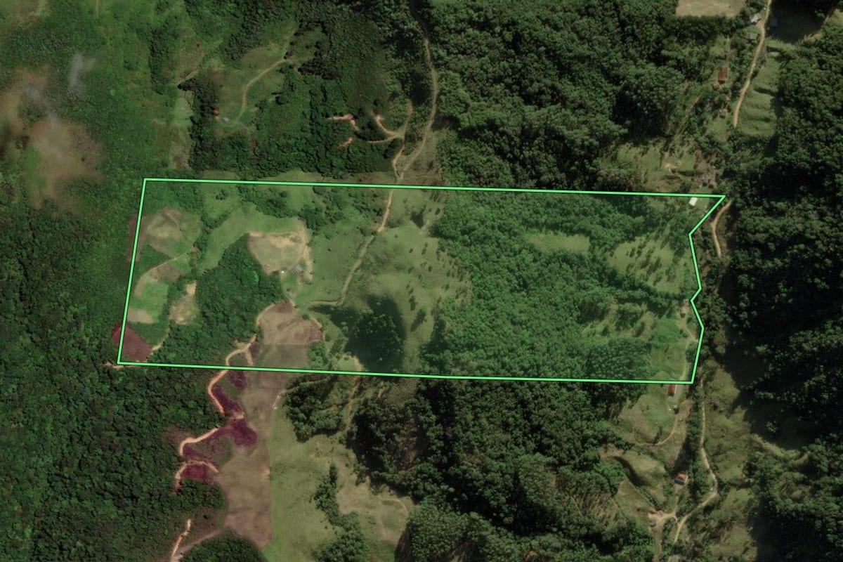 Imagem de satélite do imóvel rural em Anitápolis (SC), com o contorno declarado no CAR desenhado por cima.