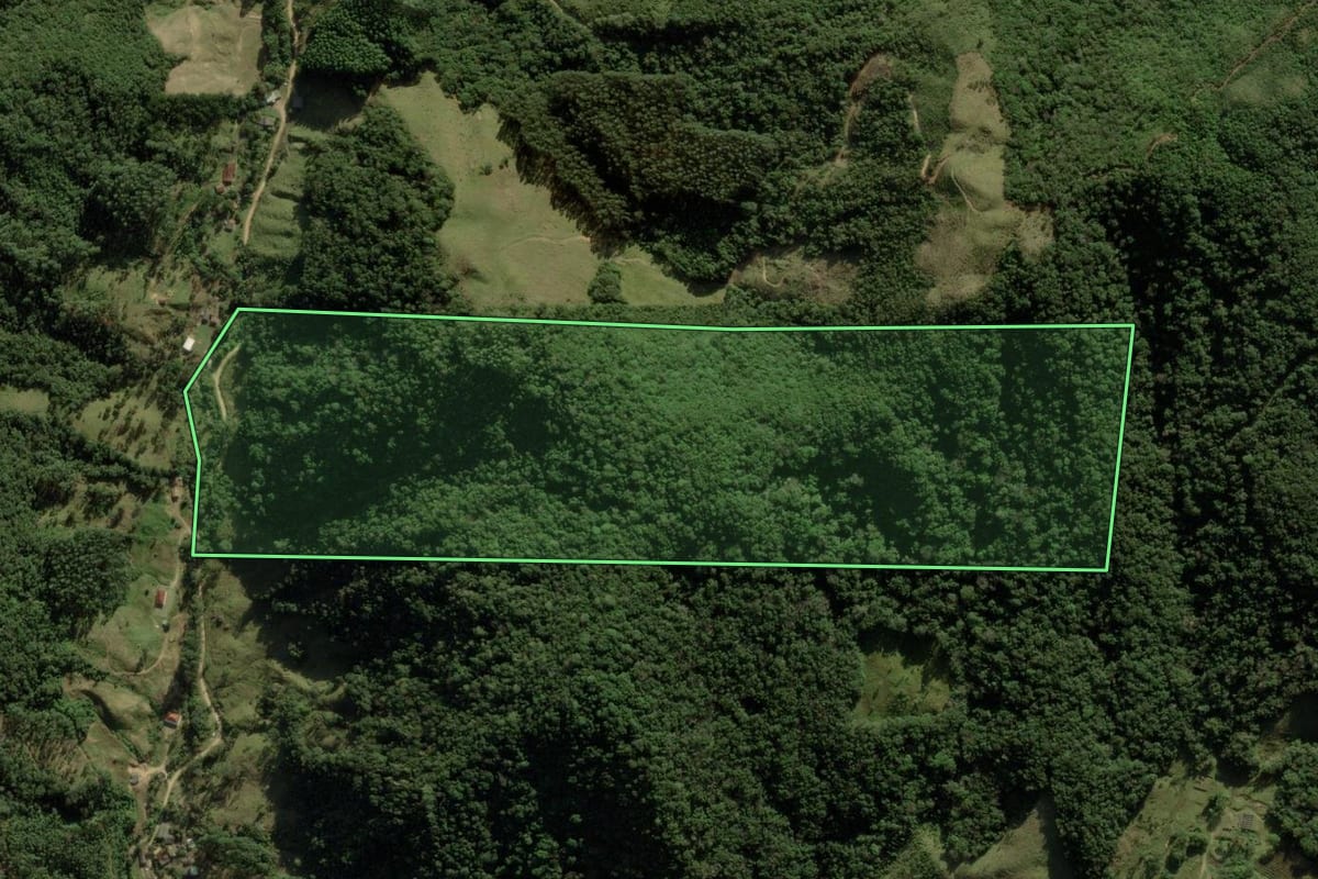 Imagem de satélite do imóvel rural em Anitápolis (SC), com o contorno declarado no CAR desenhado por cima.