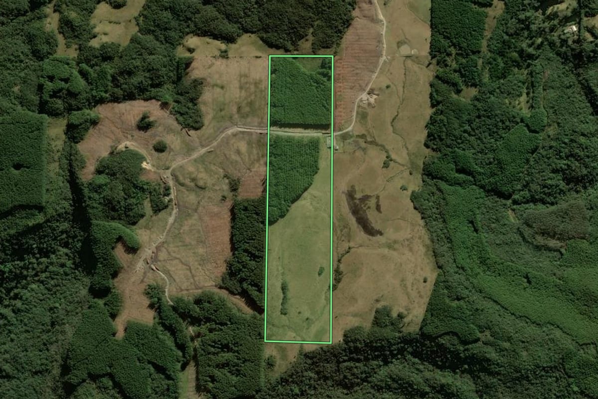 Imagem de satélite do imóvel rural em Anitápolis (SC), com o contorno declarado no CAR desenhado por cima.