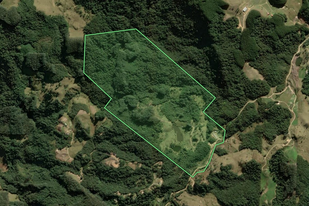 Imagem de satélite do imóvel rural em Anitápolis (SC), com o contorno declarado no CAR desenhado por cima.