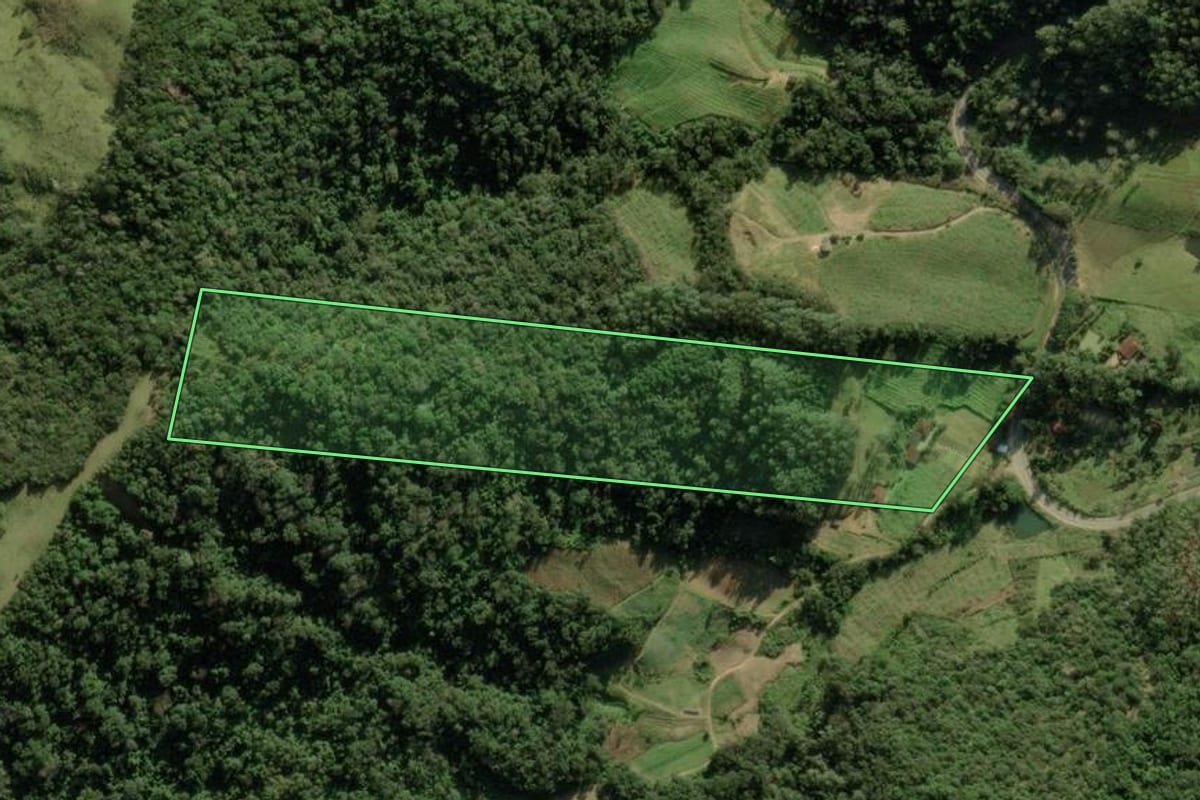 Imagem de satélite do imóvel rural em Anitápolis (SC), com o contorno declarado no CAR desenhado por cima.