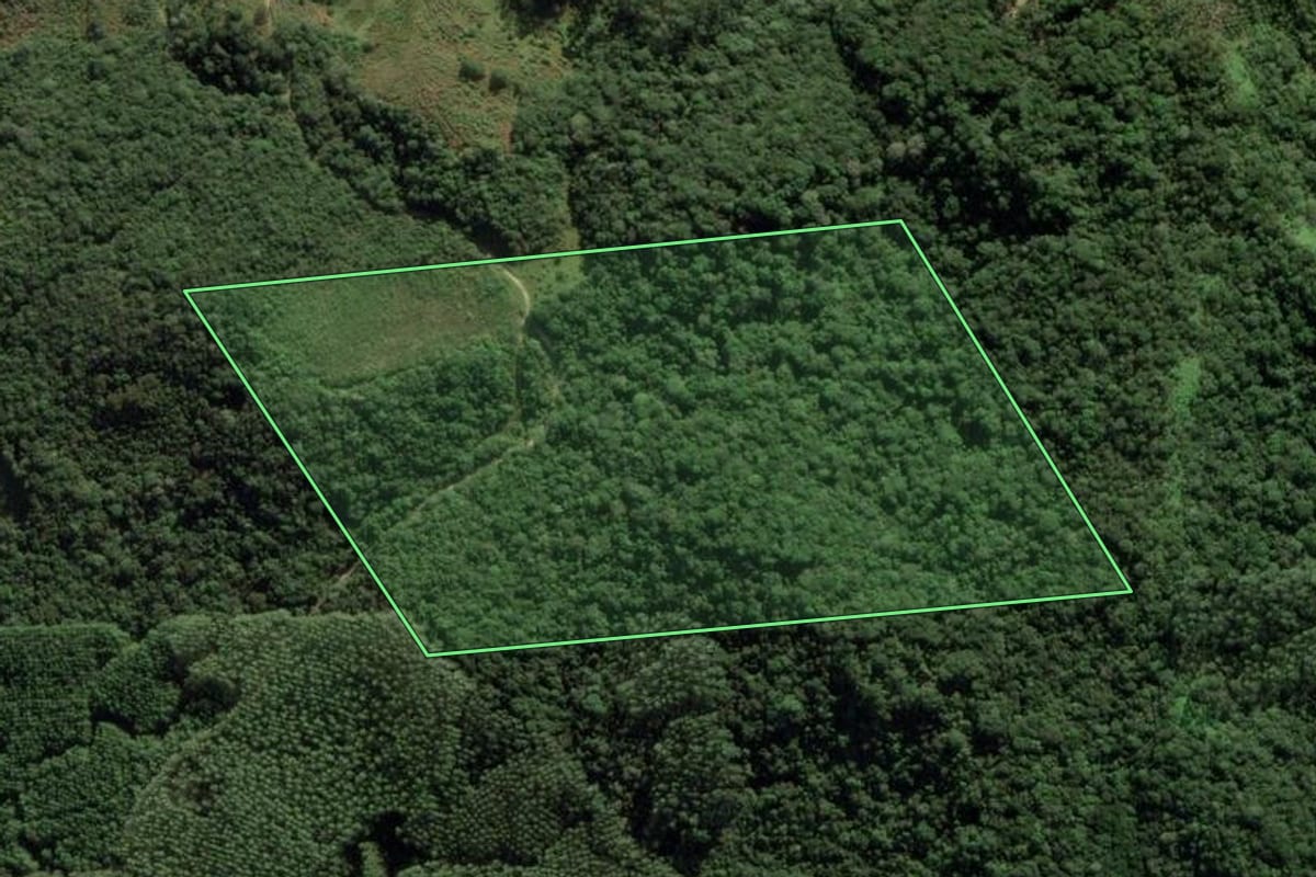 Imagem de satélite do imóvel rural em Anitápolis (SC), com o contorno declarado no CAR desenhado por cima.