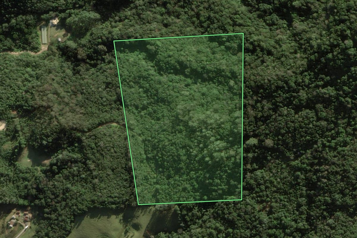 Imagem de satélite do imóvel rural em Anitápolis (SC), com o contorno declarado no CAR desenhado por cima.