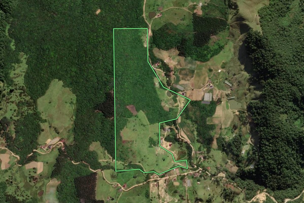 Imagem de satélite do imóvel rural em Anitápolis (SC), com o contorno declarado no CAR desenhado por cima.