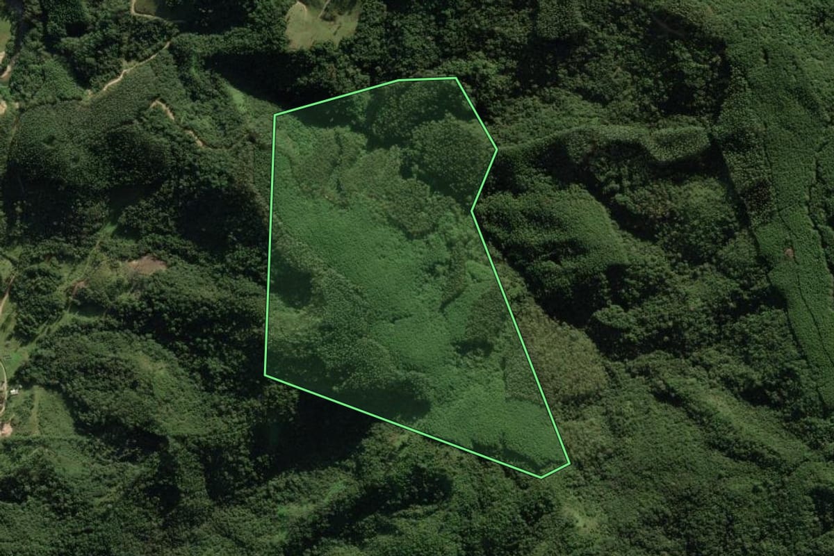 Imagem de satélite do imóvel rural em Anitápolis (SC), com o contorno declarado no CAR desenhado por cima.