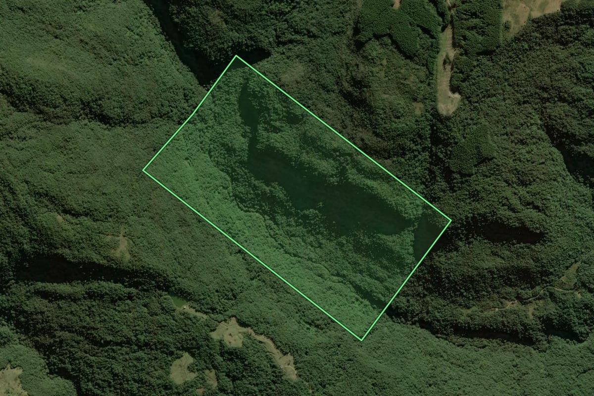 Imagem de satélite do imóvel rural em Anitápolis (SC), com o contorno declarado no CAR desenhado por cima.