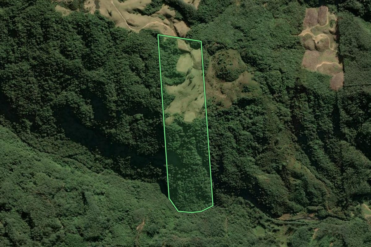 Imagem de satélite do imóvel rural em Anitápolis (SC), com o contorno declarado no CAR desenhado por cima.