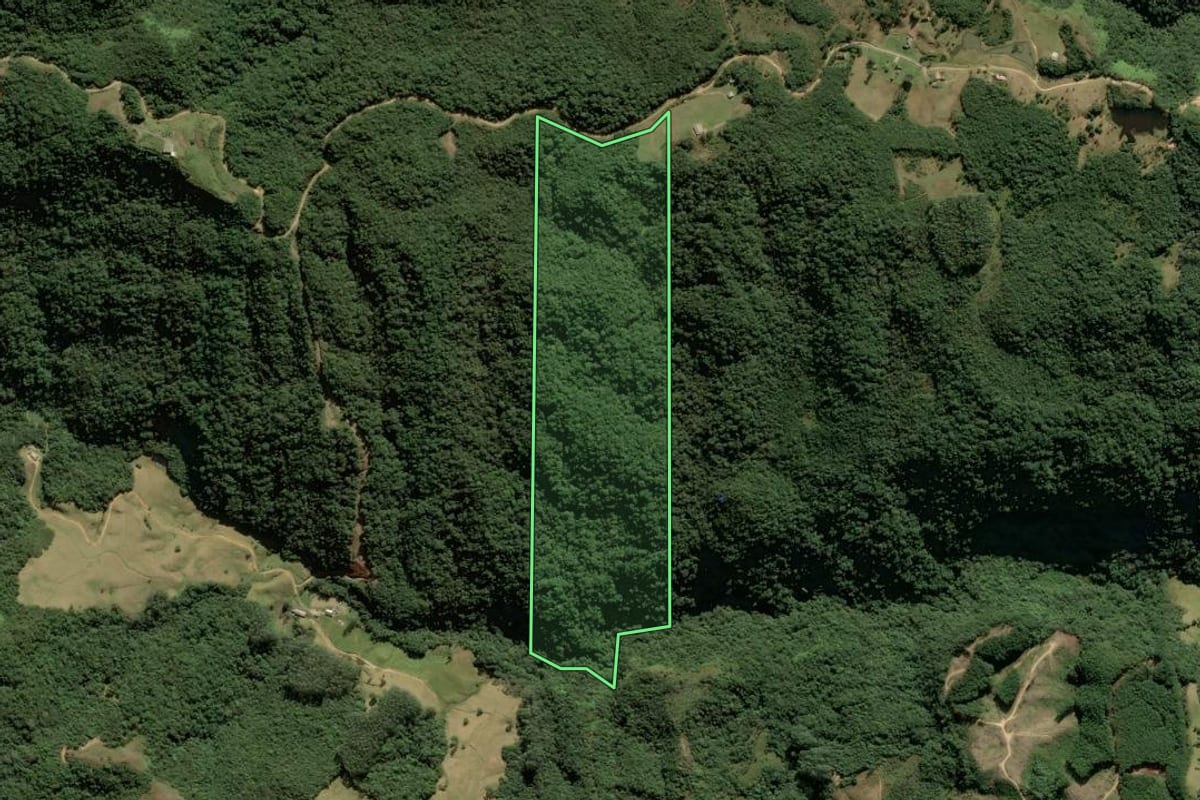 Imagem de satélite do imóvel rural em Anitápolis (SC), com o contorno declarado no CAR desenhado por cima.
