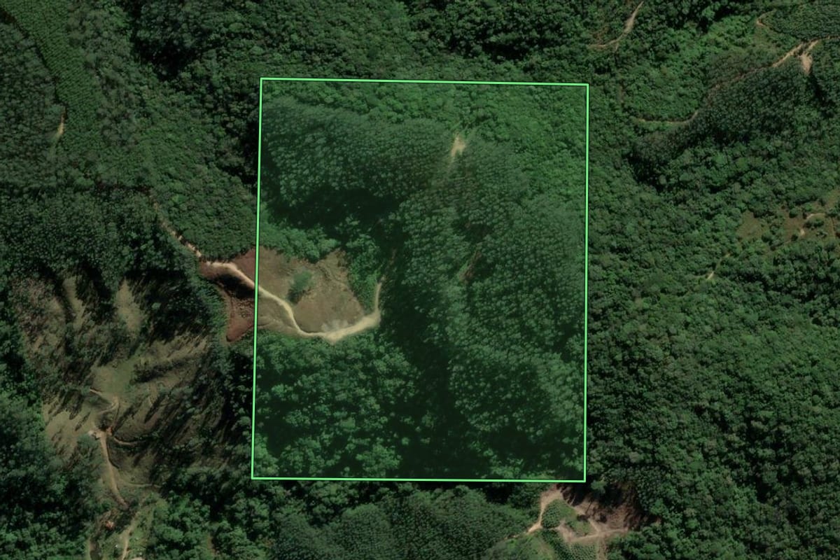 Imagem de satélite do imóvel rural em Anitápolis (SC), com o contorno declarado no CAR desenhado por cima.