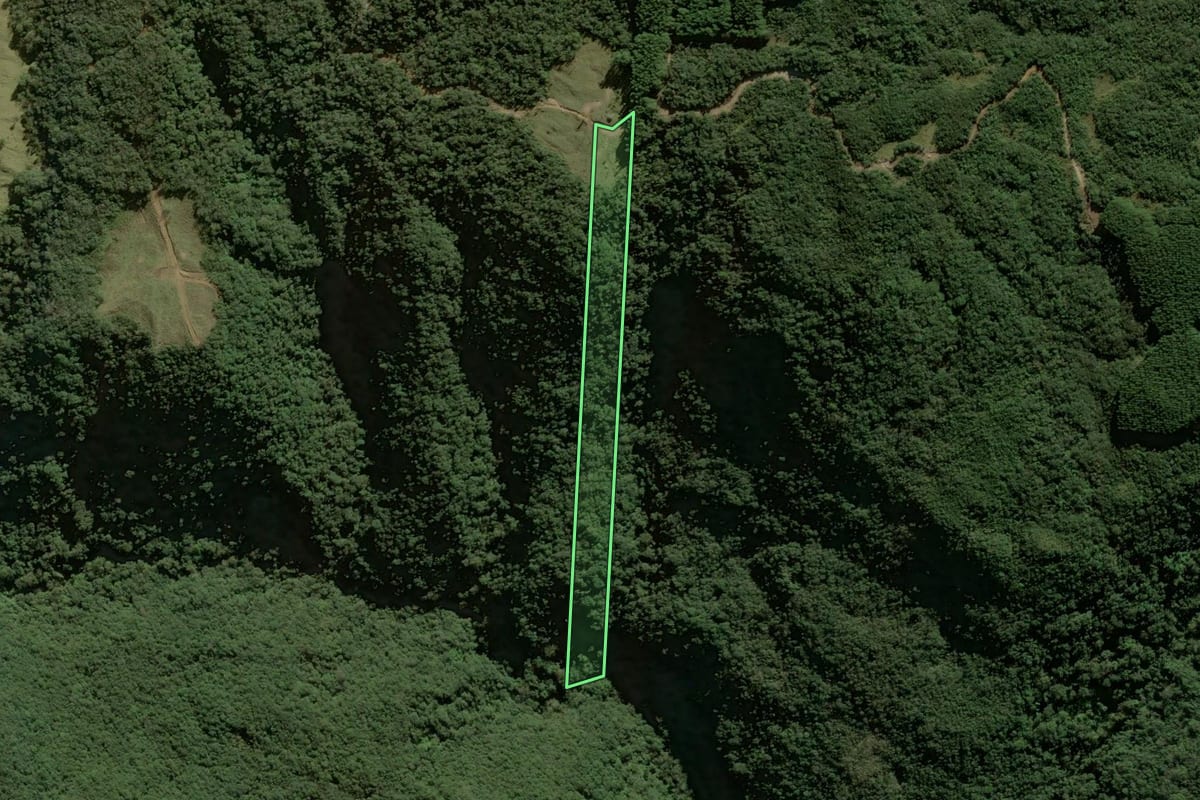 Imagem de satélite do imóvel rural em Anitápolis (SC), com o contorno declarado no CAR desenhado por cima.