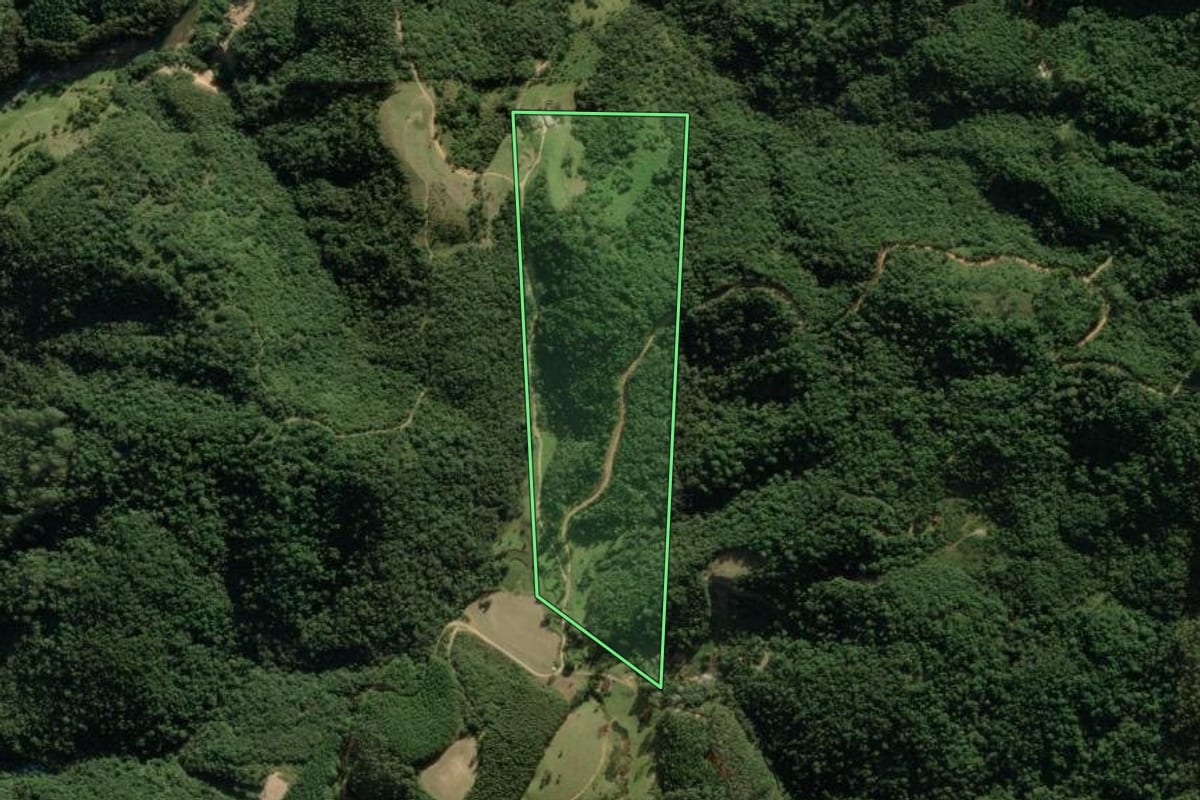 Imagem de satélite do imóvel rural em Anitápolis (SC), com o contorno declarado no CAR desenhado por cima.