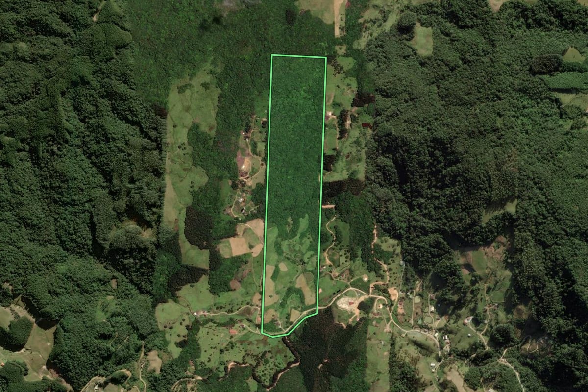 Imagem de satélite do imóvel rural em Anitápolis (SC), com o contorno declarado no CAR desenhado por cima.