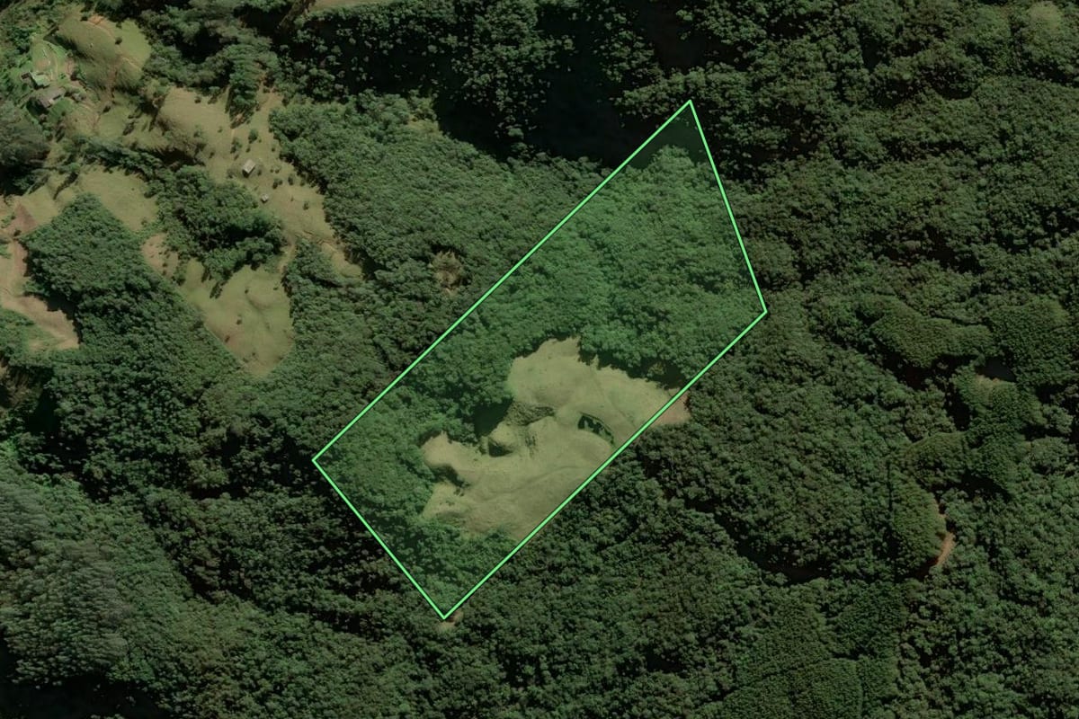 Imagem de satélite do imóvel rural em Anitápolis (SC), com o contorno declarado no CAR desenhado por cima.