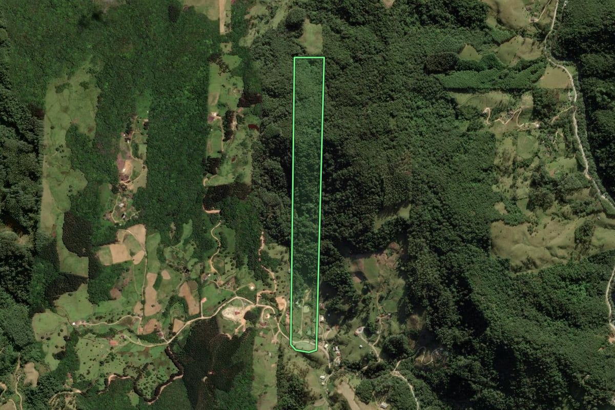 Imagem de satélite do imóvel rural em Anitápolis (SC), com o contorno declarado no CAR desenhado por cima.