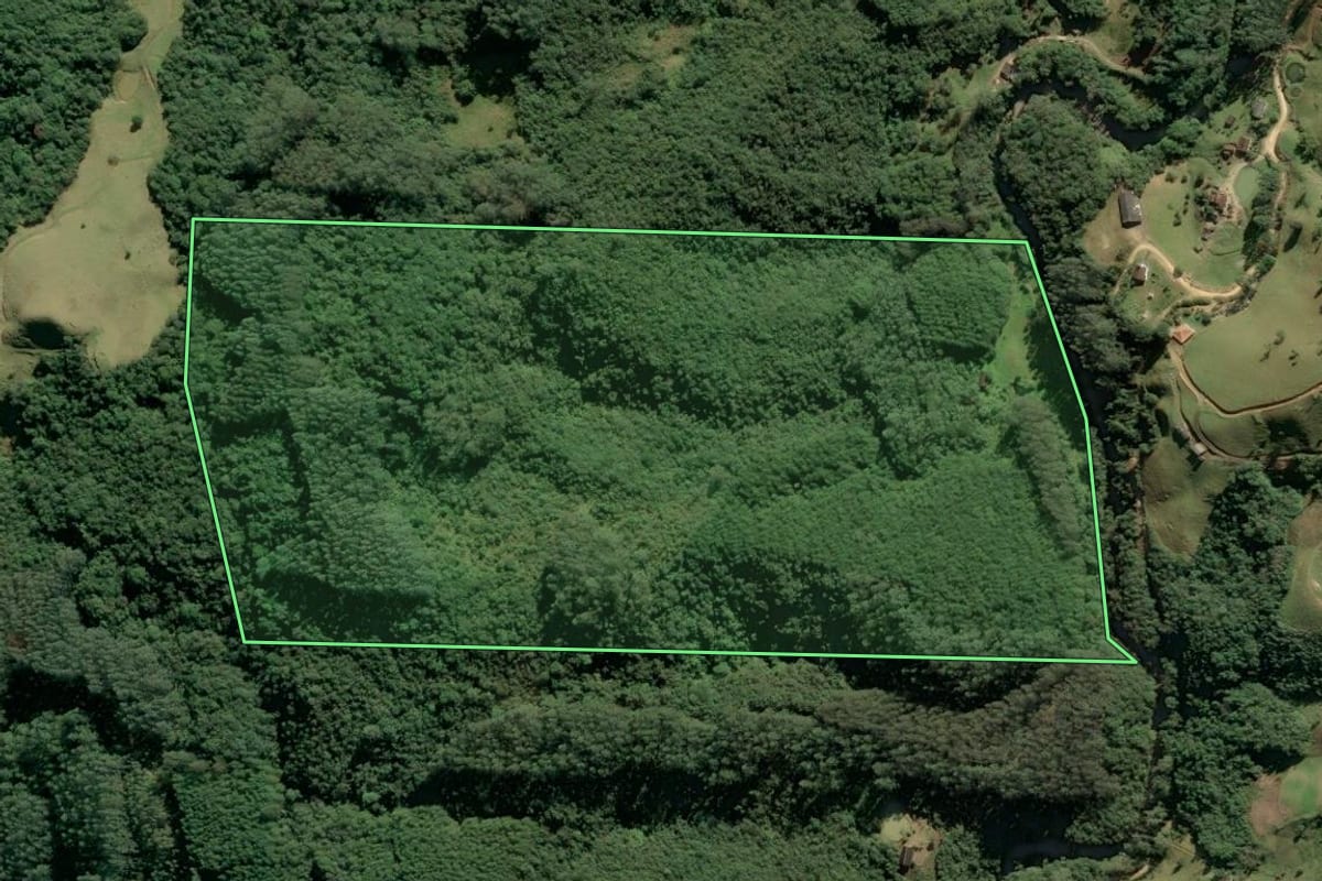 Imagem de satélite do imóvel rural em Anitápolis (SC), com o contorno declarado no CAR desenhado por cima.