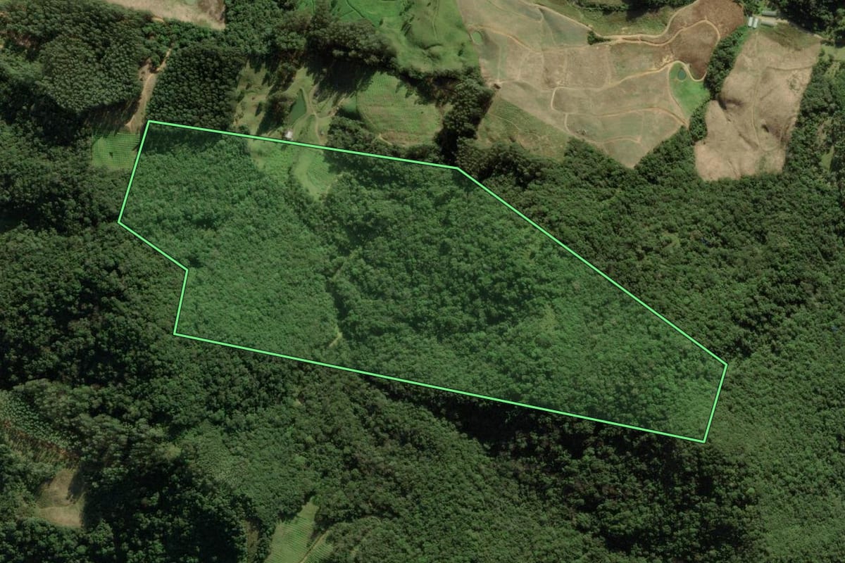 Imagem de satélite do imóvel rural em Anitápolis (SC), com o contorno declarado no CAR desenhado por cima.