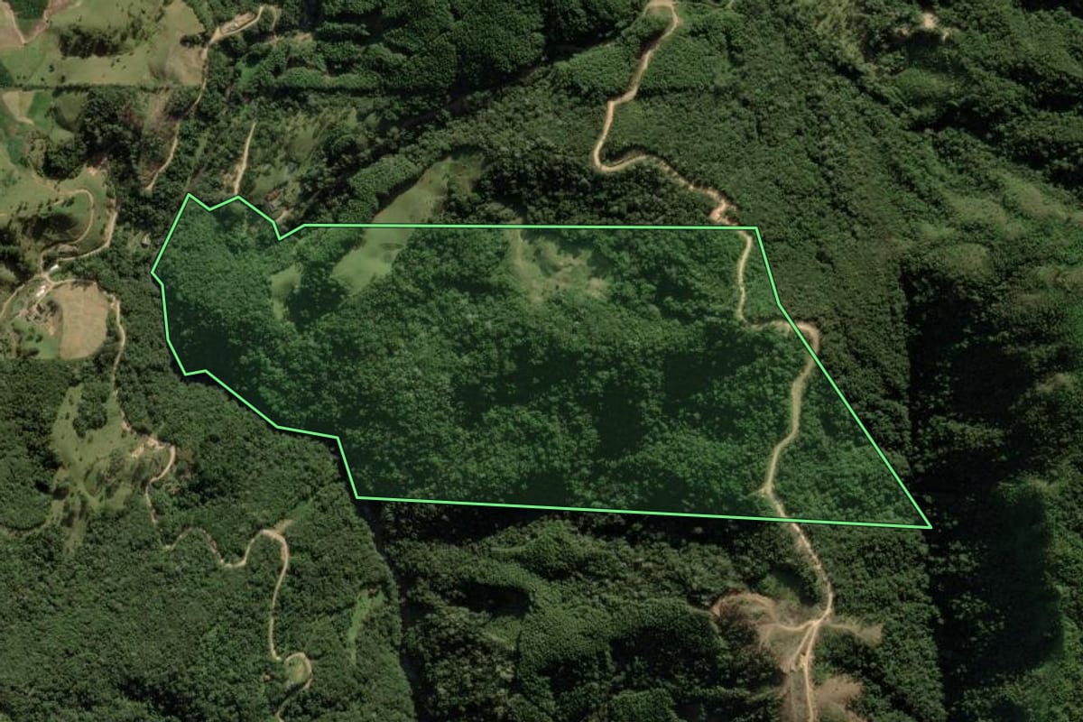 Imagem de satélite do imóvel rural em Anitápolis (SC), com o contorno declarado no CAR desenhado por cima.