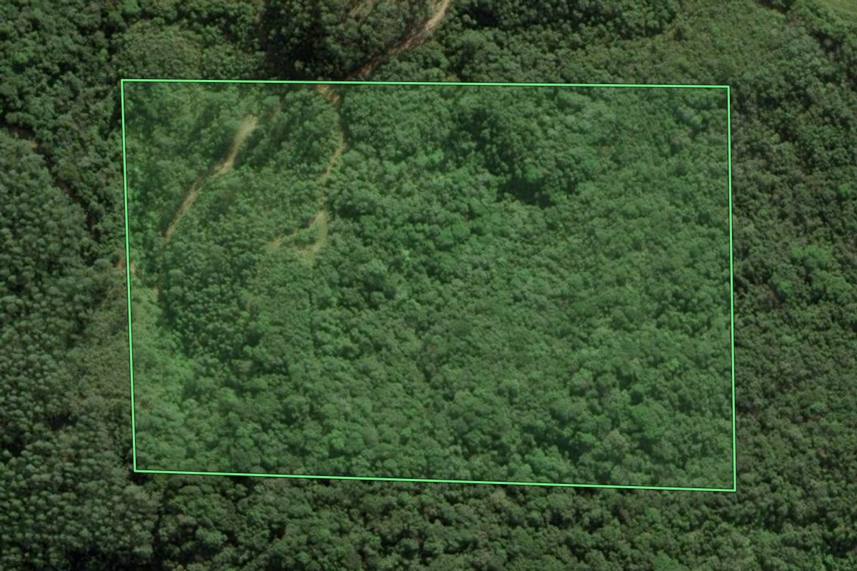 Imagem de satélite do imóvel rural em Anitápolis (SC), com o contorno declarado no CAR desenhado por cima.