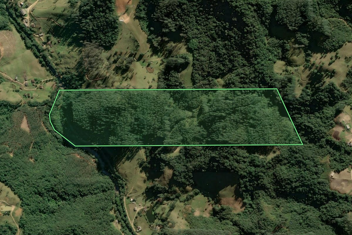 Imagem de satélite do imóvel rural em Anitápolis (SC), com o contorno declarado no CAR desenhado por cima.