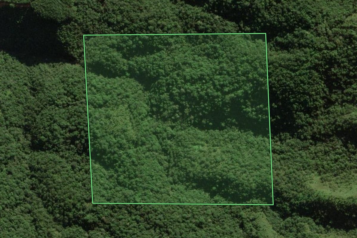 Imagem de satélite do imóvel rural em Anitápolis (SC), com o contorno declarado no CAR desenhado por cima.