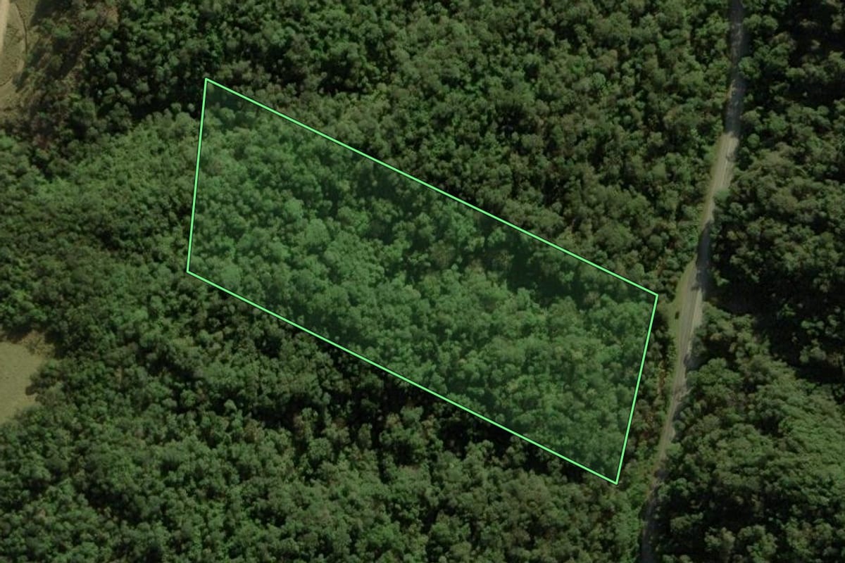 Imagem de satélite do imóvel rural em Anitápolis (SC), com o contorno declarado no CAR desenhado por cima.