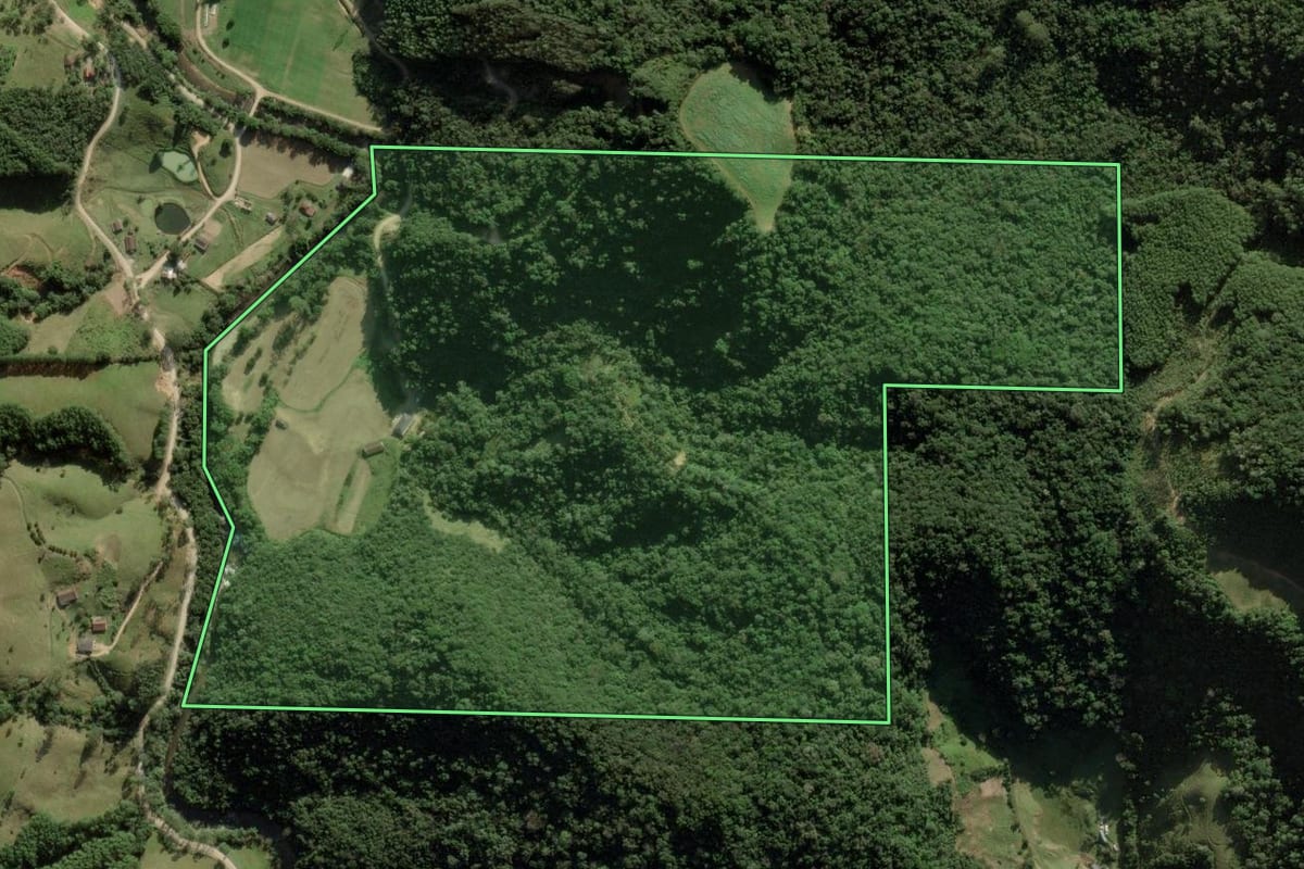 Imagem de satélite do imóvel rural em Anitápolis (SC), com o contorno declarado no CAR desenhado por cima.