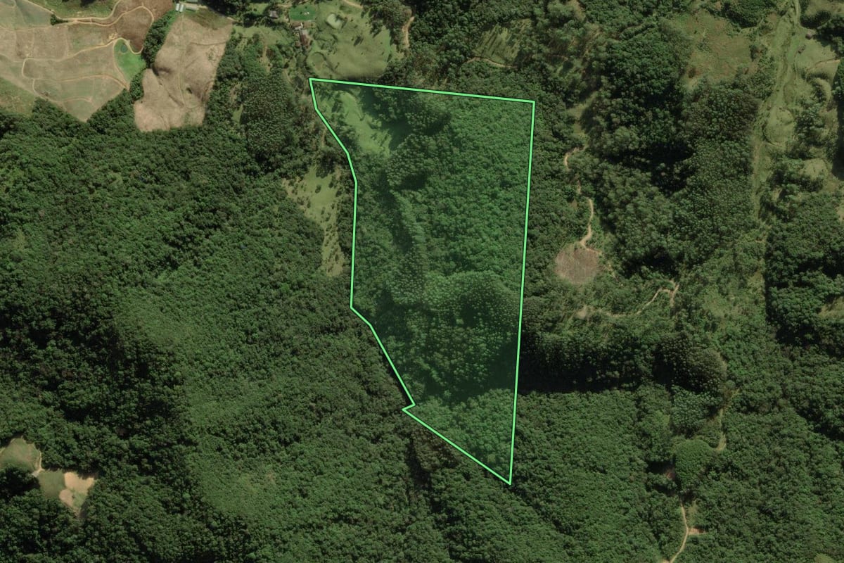 Imagem de satélite do imóvel rural em Anitápolis (SC), com o contorno declarado no CAR desenhado por cima.