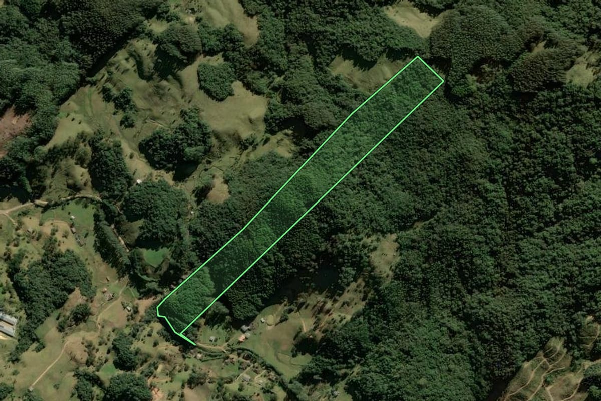 Imagem de satélite do imóvel rural em Anitápolis (SC), com o contorno declarado no CAR desenhado por cima.