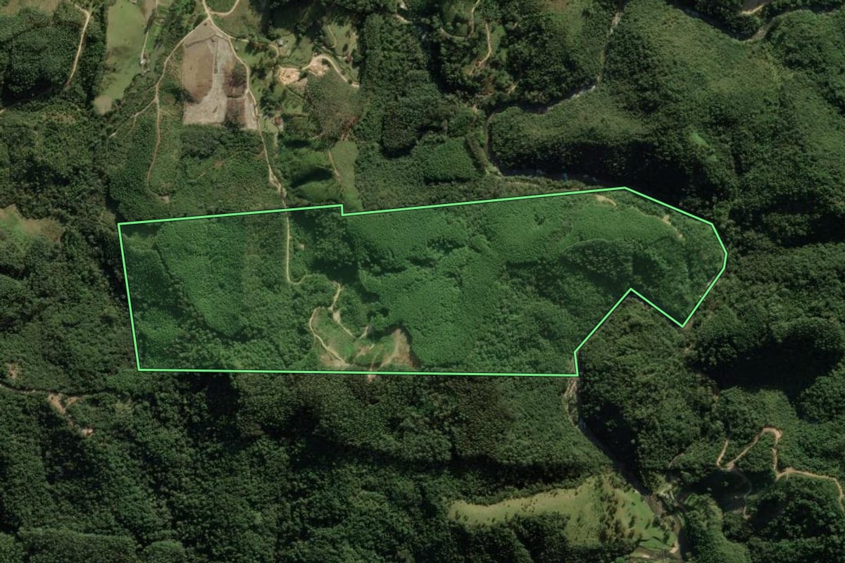 Imagem de satélite do imóvel rural em Anitápolis (SC), com o contorno declarado no CAR desenhado por cima.