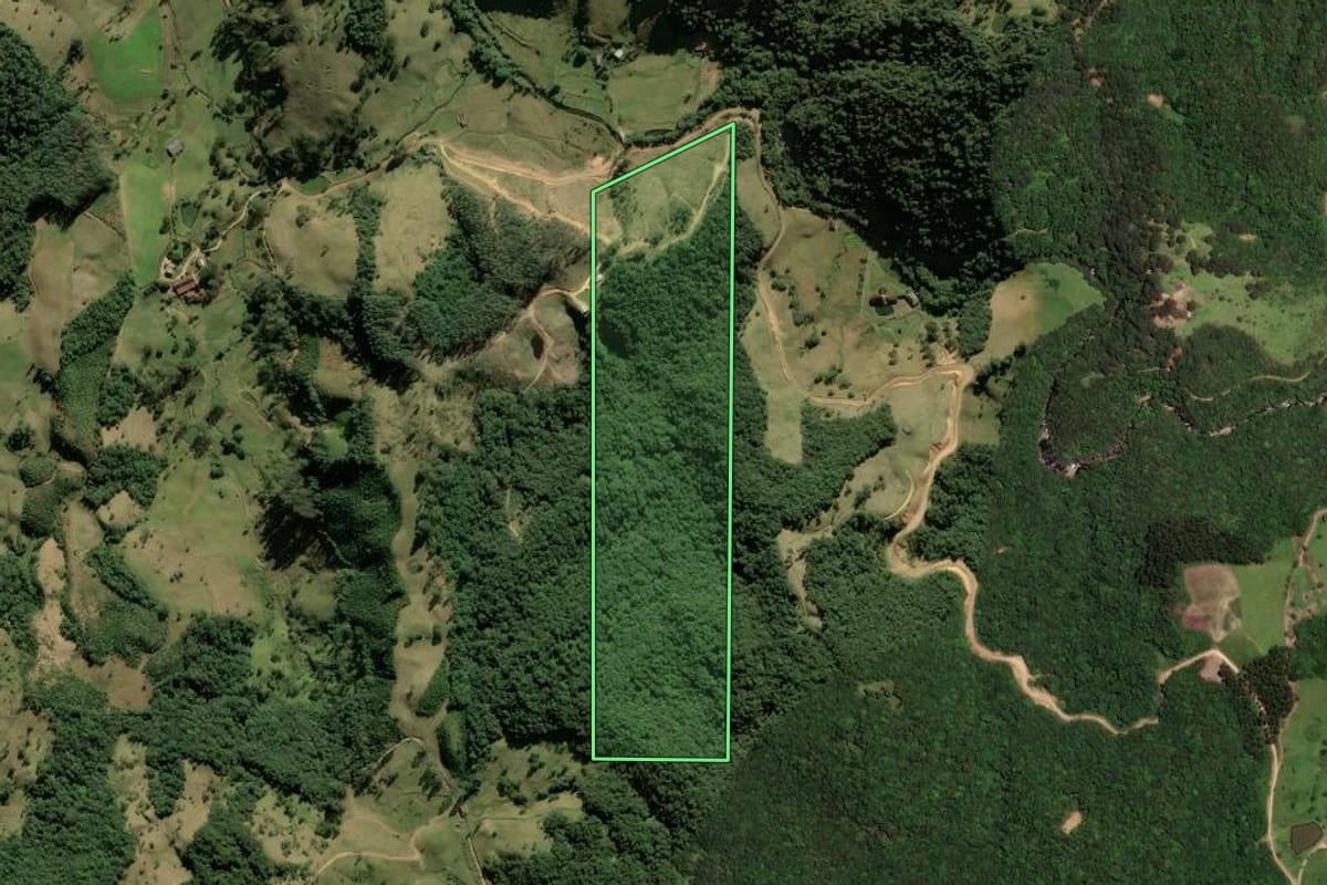 Imagem de satélite do imóvel rural em Anitápolis (SC), com o contorno declarado no CAR desenhado por cima.