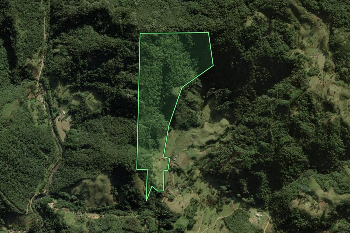 Imagem de satélite do imóvel rural em Anitápolis (SC), com o contorno declarado no CAR desenhado por cima.