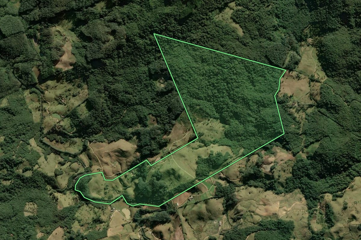 Imagem de satélite do imóvel rural em Anitápolis (SC), com o contorno declarado no CAR desenhado por cima.