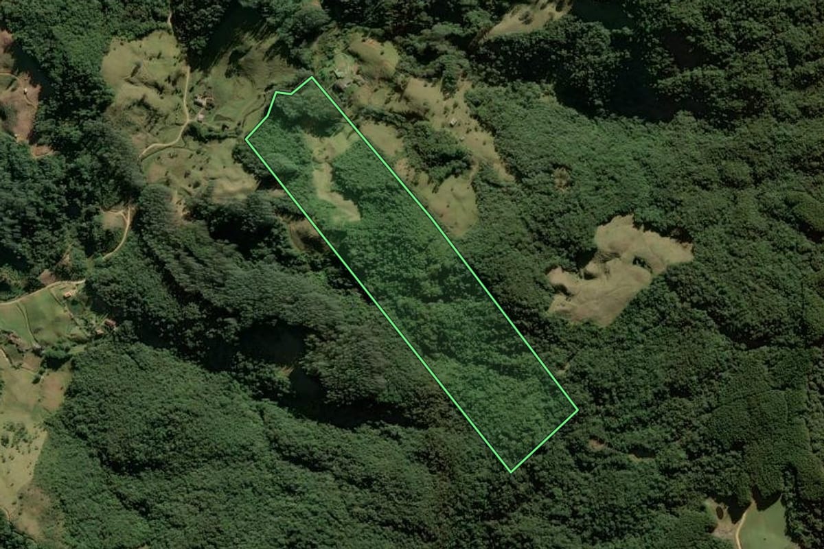 Imagem de satélite do imóvel rural em Anitápolis (SC), com o contorno declarado no CAR desenhado por cima.