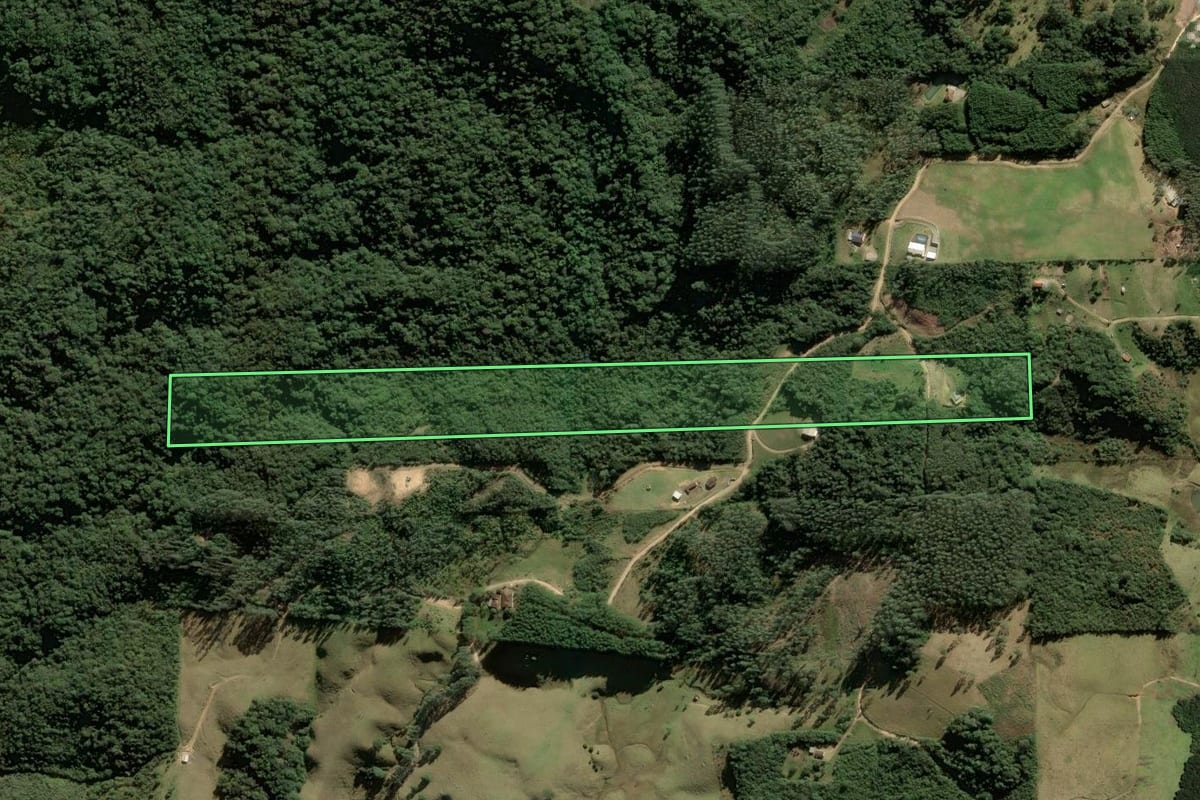 Imagem de satélite do imóvel rural em Anitápolis (SC), com o contorno declarado no CAR desenhado por cima.