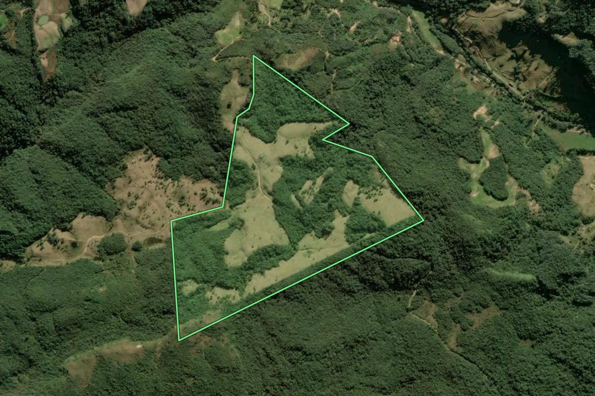 Imagem de satélite do imóvel rural em Anitápolis (SC), com o contorno declarado no CAR desenhado por cima.