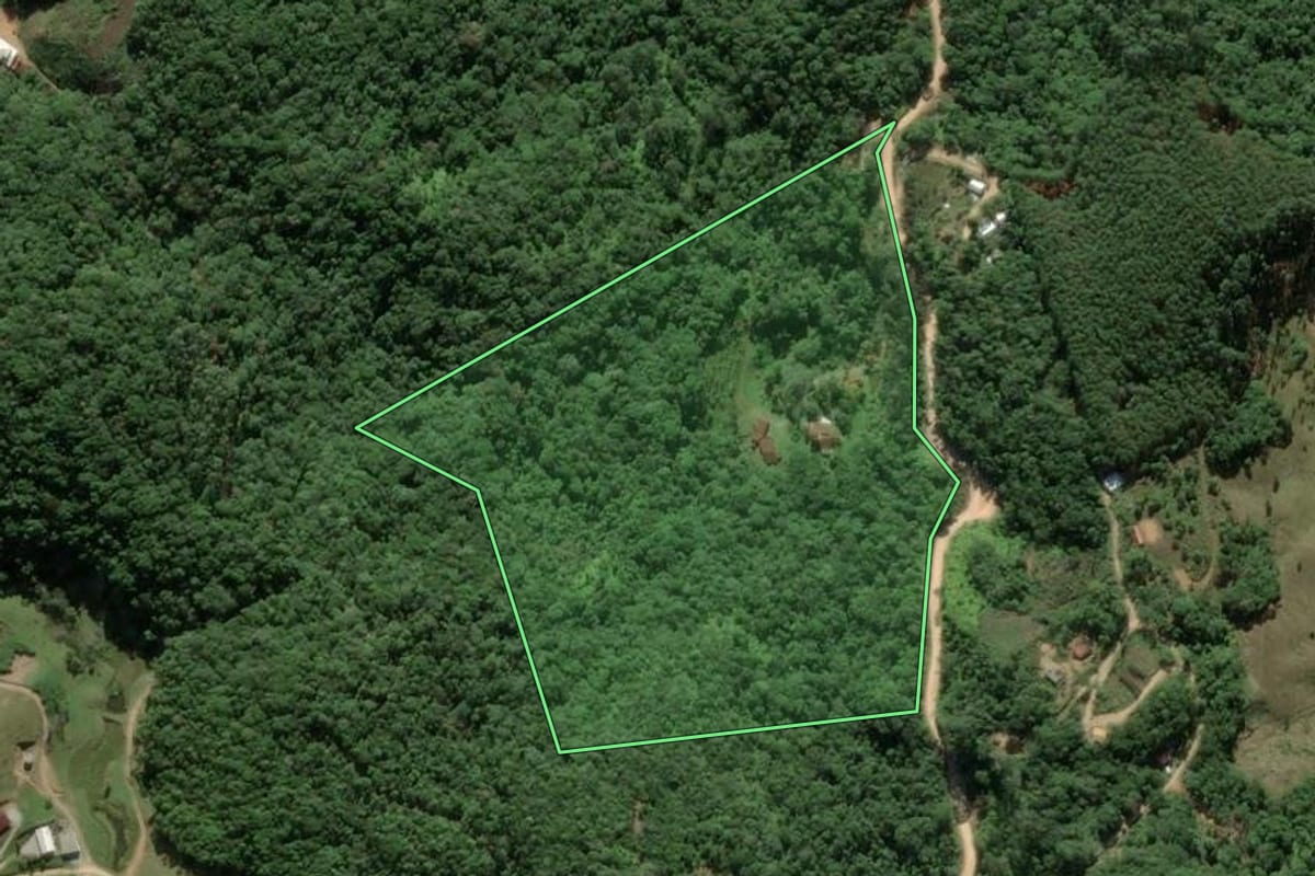 Imagem de satélite do imóvel rural em Antônio Carlos (SC), com o contorno declarado no CAR desenhado por cima.