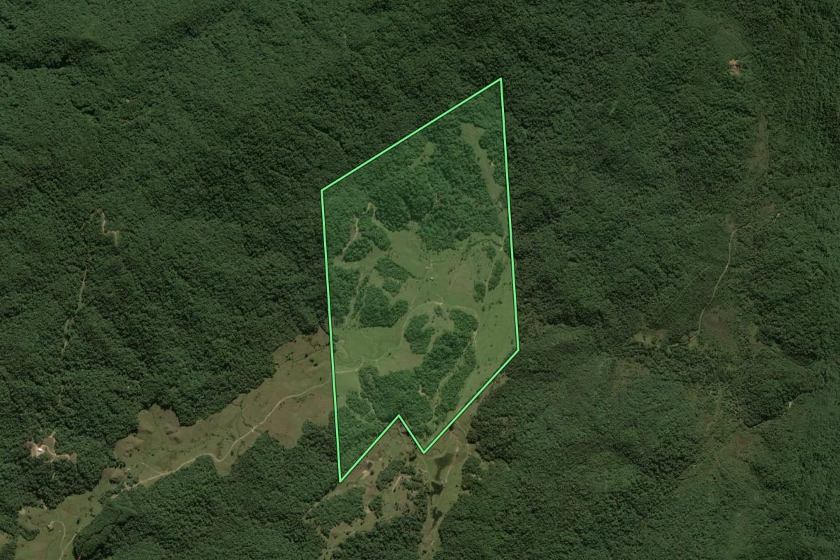 Imagem de satélite do imóvel rural em Antônio Carlos (SC), com o contorno declarado no CAR desenhado por cima.