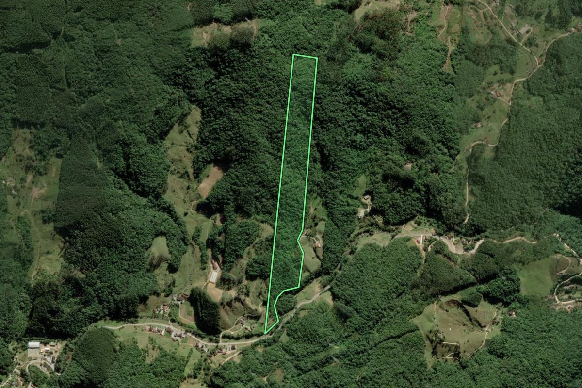 Imagem de satélite do imóvel rural em Antônio Carlos (SC), com o contorno declarado no CAR desenhado por cima.